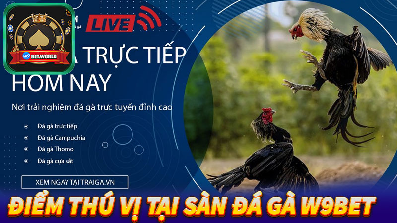 Một-vài-điểm-thú-vị-tại-sàn-đá-gà-w9bet